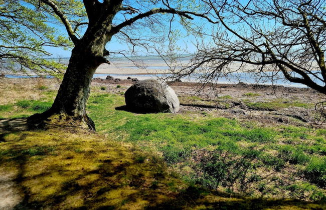 4 Person Holiday Home in Faxe Ladeplads-by Traum - Foto 22