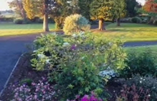 Charming 3-bed Cottage Moira - Hillsborough - Foto 8