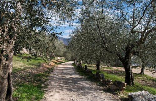 Casa Vacanze RE.TI. - Photo 15