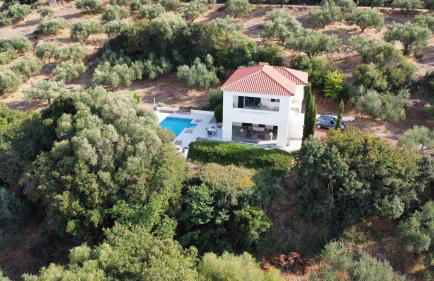 Kyparissia De Wandelboom - Foto 8