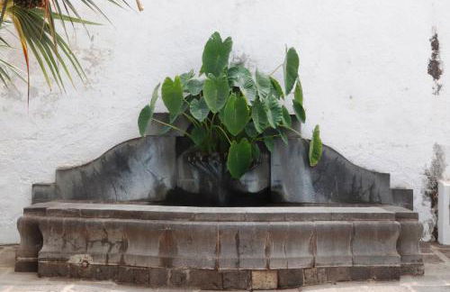 La casa de Montse Vivienda Vacacional Playa de la Tejita - Foto 47