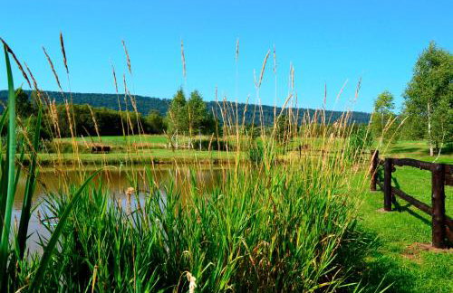 Bies Czadowy Zakątek - Foto 36
