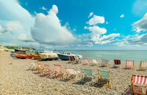 Sunny Side - in the Heart of Beer - Foto 25