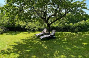 Bergchalet Löwenzahn - Foto 9