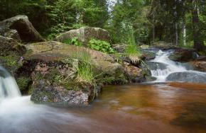 Ferienhaus Thale - Foto 39