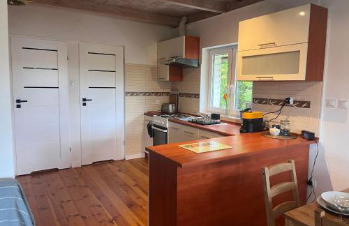 Smolniki Leśna Oaza - Foto 10