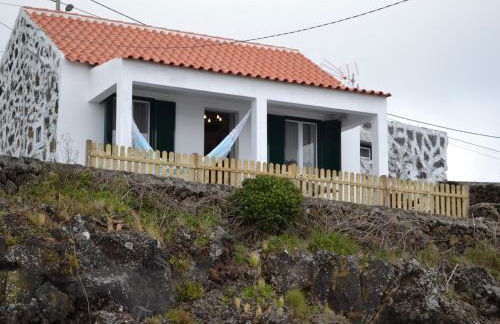 Casinha de Muda da Feteira - Photo 32