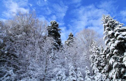 Komfortowy Dom w Chmurach - Foto 69