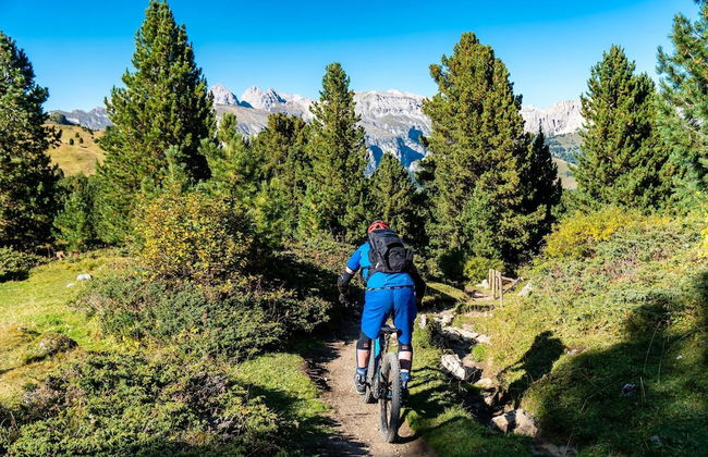 Le Rose Di Marianne - Ovest - Foto 20