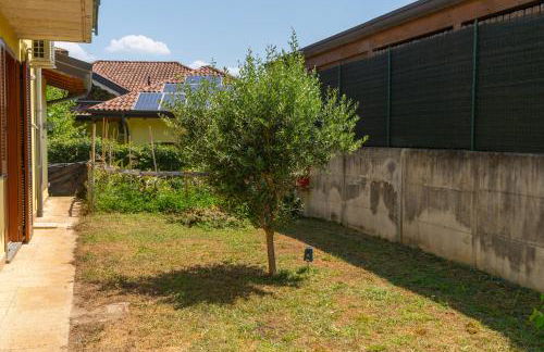 House of Camellias - Ground Floor with Garden - Foto 46