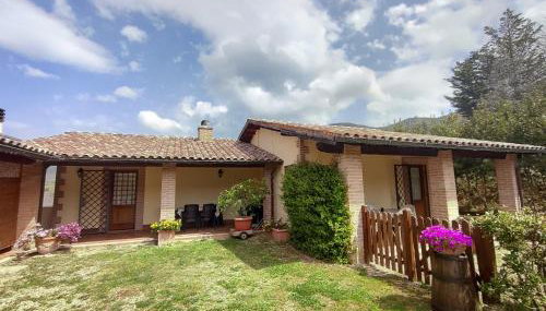 La Selvarella - Photo 5, Garden