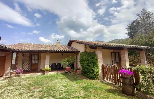 La Selvarella - Foto 8