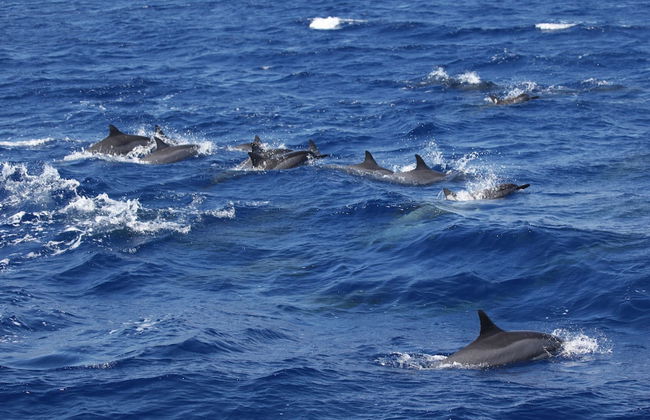 The Mauna Lani Golf S K5 3 Bedroom Condo by RedAwning - Foto 24