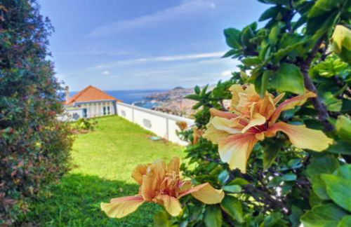 Avocado Villa by LovelyStay - Foto 12