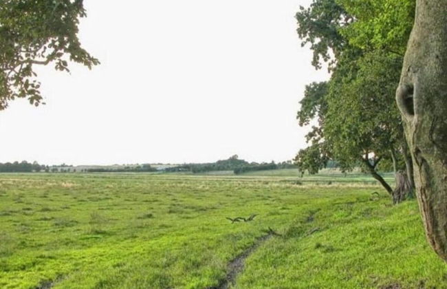 5 Person Holiday Home in Kolind - Photo 12