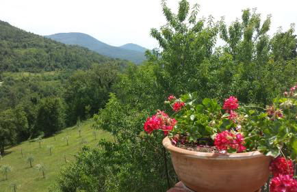 Podere Piandicava - Foto 34