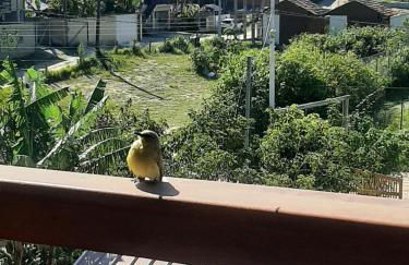Pousada Vielas do Rosa - centrinho da praia do rosa - Foto 69