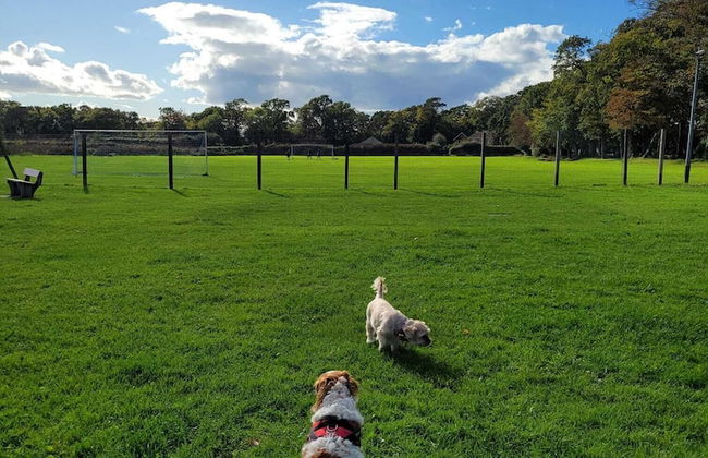 New Forest 2-bed Premium Holiday Home, New Milton - Foto 20