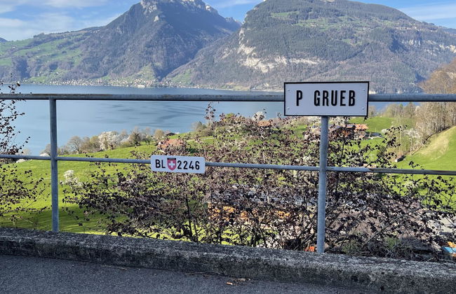 Panoramaferienwohnung Waldkircher - Foto 19