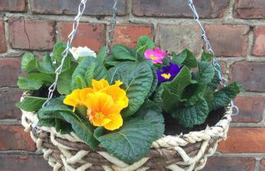 Mowbray Stable Cottages - Foto 35