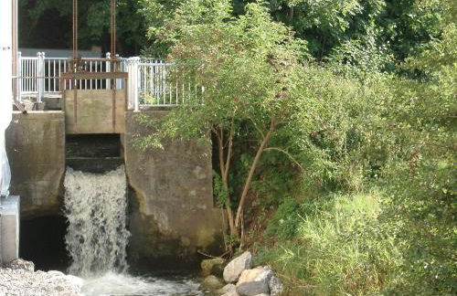 Vogtmühle - Foto 35