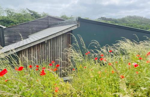 Collective Yard - Foto 33