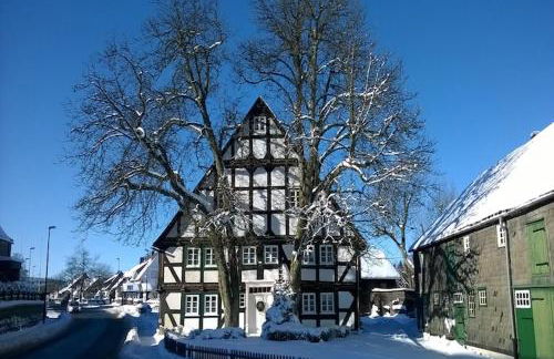 Naturrefugium bei Willingen - Foto 24