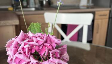 Auszeit im Pott - Ferienwohnung Lavendel - Foto 4