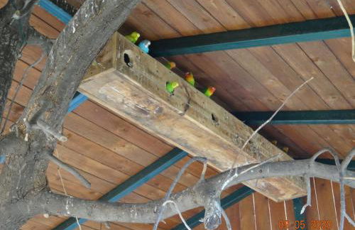 Agriturismo Fieri - Foto 37