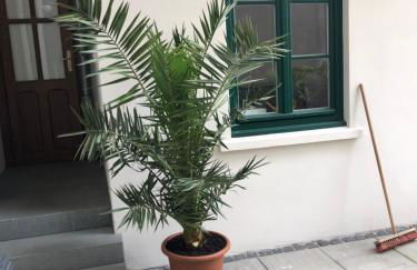 Kleines Gästehaus im Grünen - Photo 8