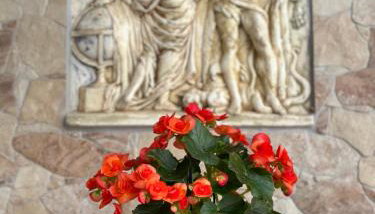 The Odyssey Holiday Home - Agios Ioannis, Pelion - Foto 2