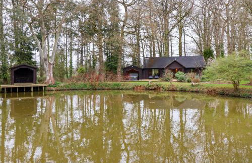 Woodpeckers - Photo 25