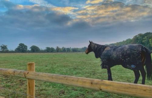 The Studio at Bluebell Barn - Foto 11