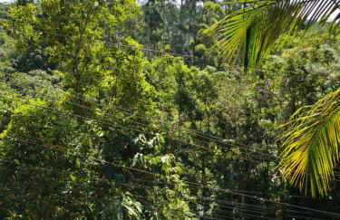 Chalé 1 Alto na Montanha, com lareira e wi-fi - Foto 44