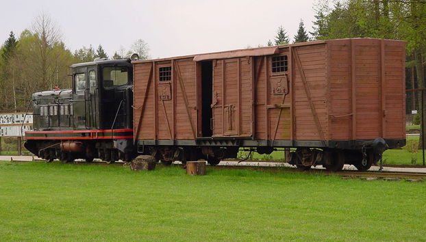 Tour to Druskininkai - A spa town in Southern Lithuania - Photo 4