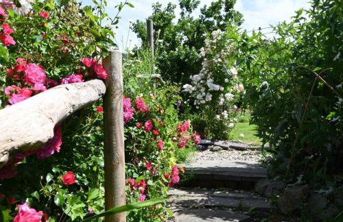 Bro Deg - Moylegrove - Foto 28