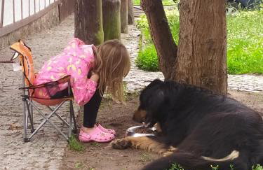 Agroturystyka Wilczyn Cegielnia - Foto 12