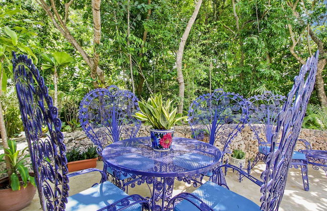 Beautiful Villa Tortuga at Puntacana Resort Club Pool Garden Golf Cart Maid - Photo 47