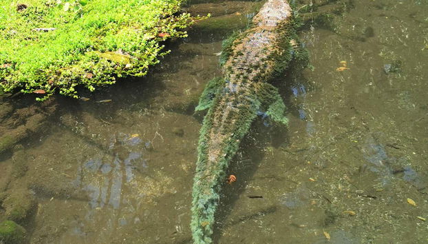 Las Coloradas Natural Park Trip - Foto 2