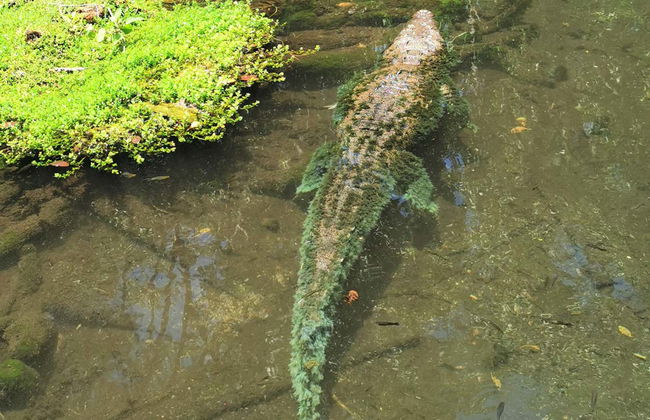 Las Coloradas Natural Park Trip - Photo 2
