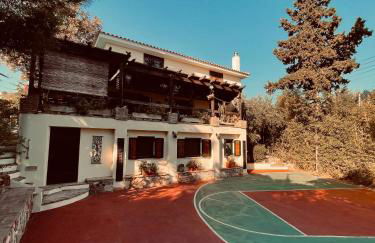 villa eleni - Foto 4