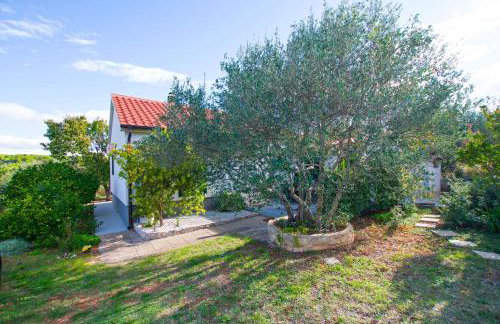 House Pansy - Foto 19