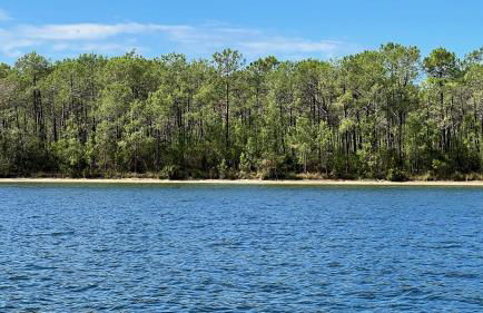 Alice’s house, Maison & Grange à 10km de l’Océan - Photo 30