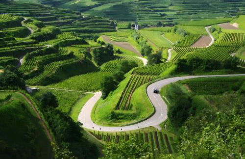 Ferienwohnung Savoir-vivre - Foto 29