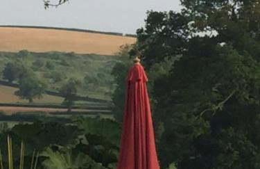 Beautiful Devon Farmhouse - Foto 24