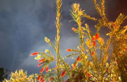 Apart Hotel Angra dos Reis II - Foto 35