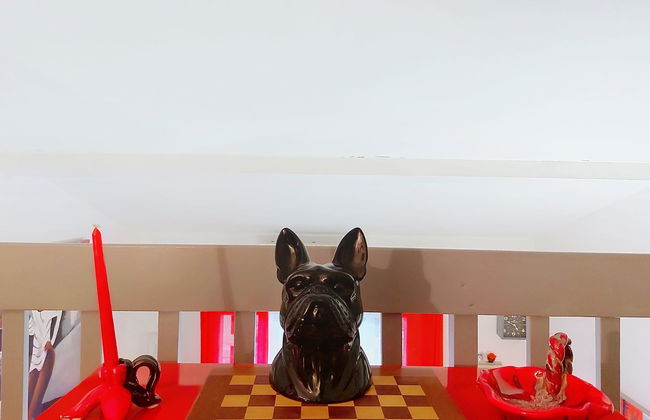 Les Amandines - Foto 24