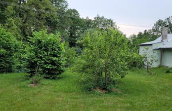 Zielone Zacisze Zwola - Foto 72