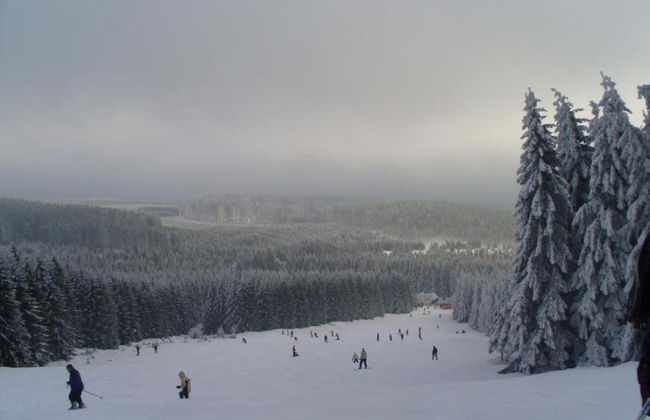 Spacious Apartment in Blankenburg Harz near Ski Area - Foto 24