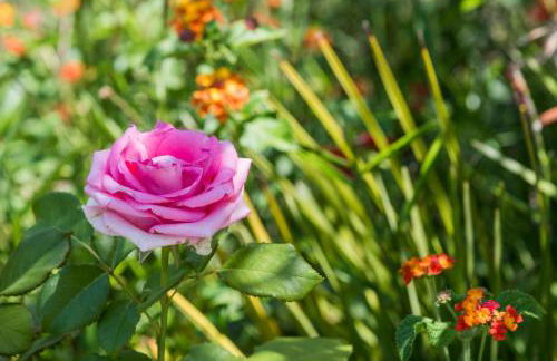 Villa Tina - Foto 22